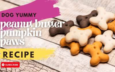 Peanut Butter and Pumpkin Paws Recipe