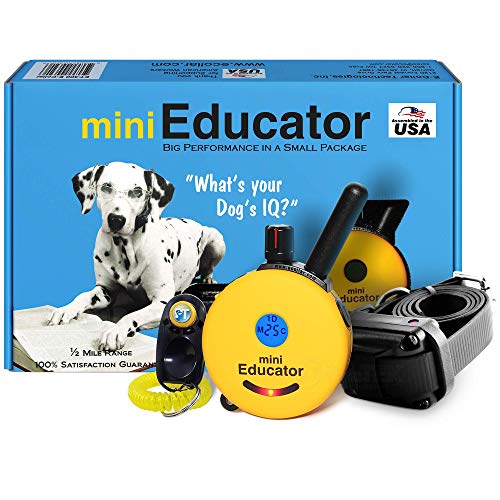 Mini Educator ET-300 professional e-training collar – high-end remote trainer for effective dog behavior modification