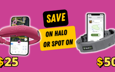 Save on Halo Or Spot On